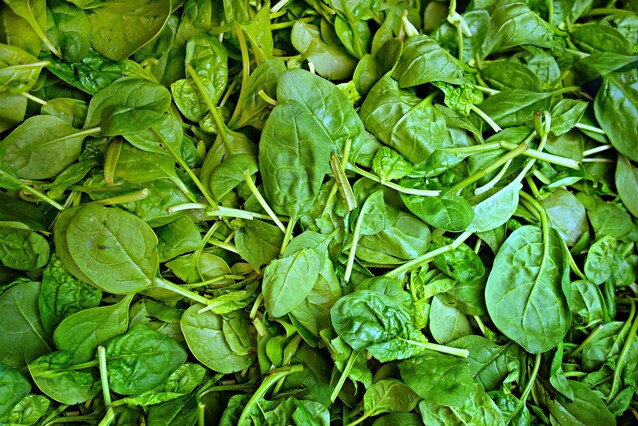 Green leaves from spinach