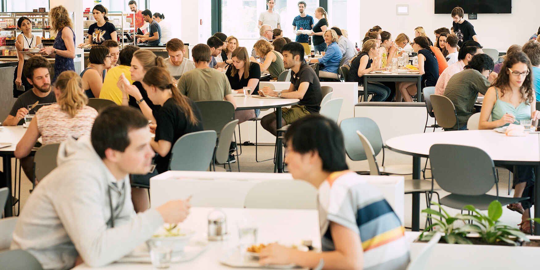Cafeteria at the IMP