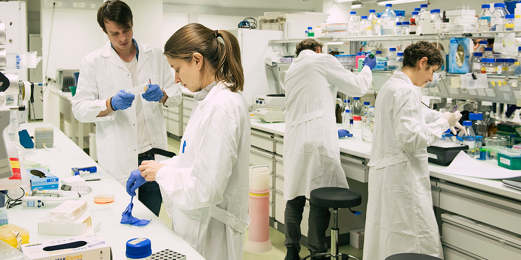 Master and Research Internships in Molecular Biology