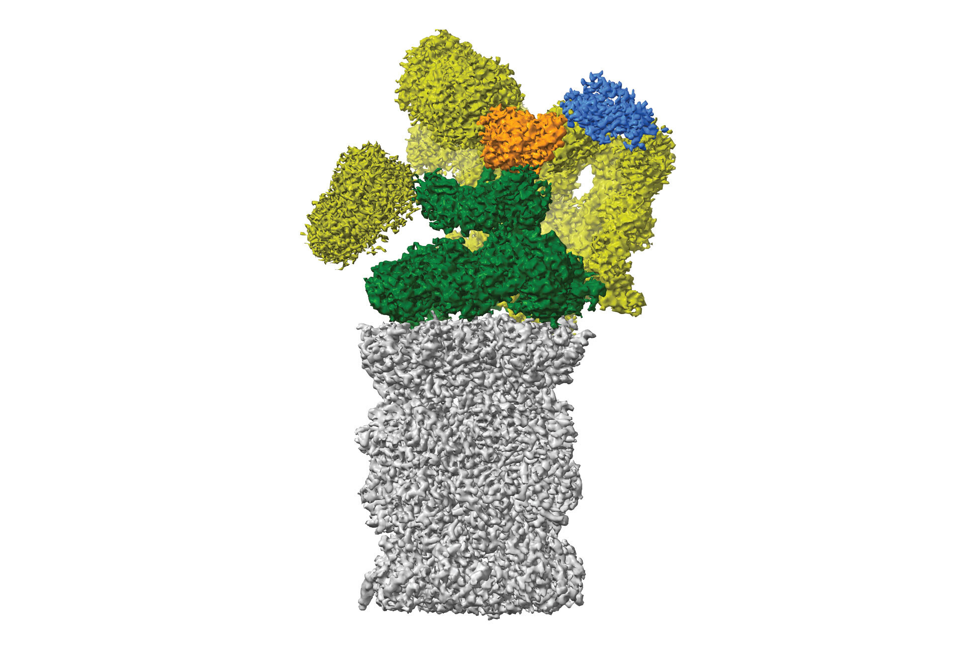 A vertical molecular structure that looks like a grey tube, on top of which several colourful shapes are sat.