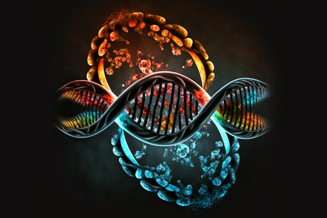 AI-generated impression of three intertwined DNA segments. The colourful blobs represent proteins of the molecular machineries necessary for DNA looping (generated with Midjourney)