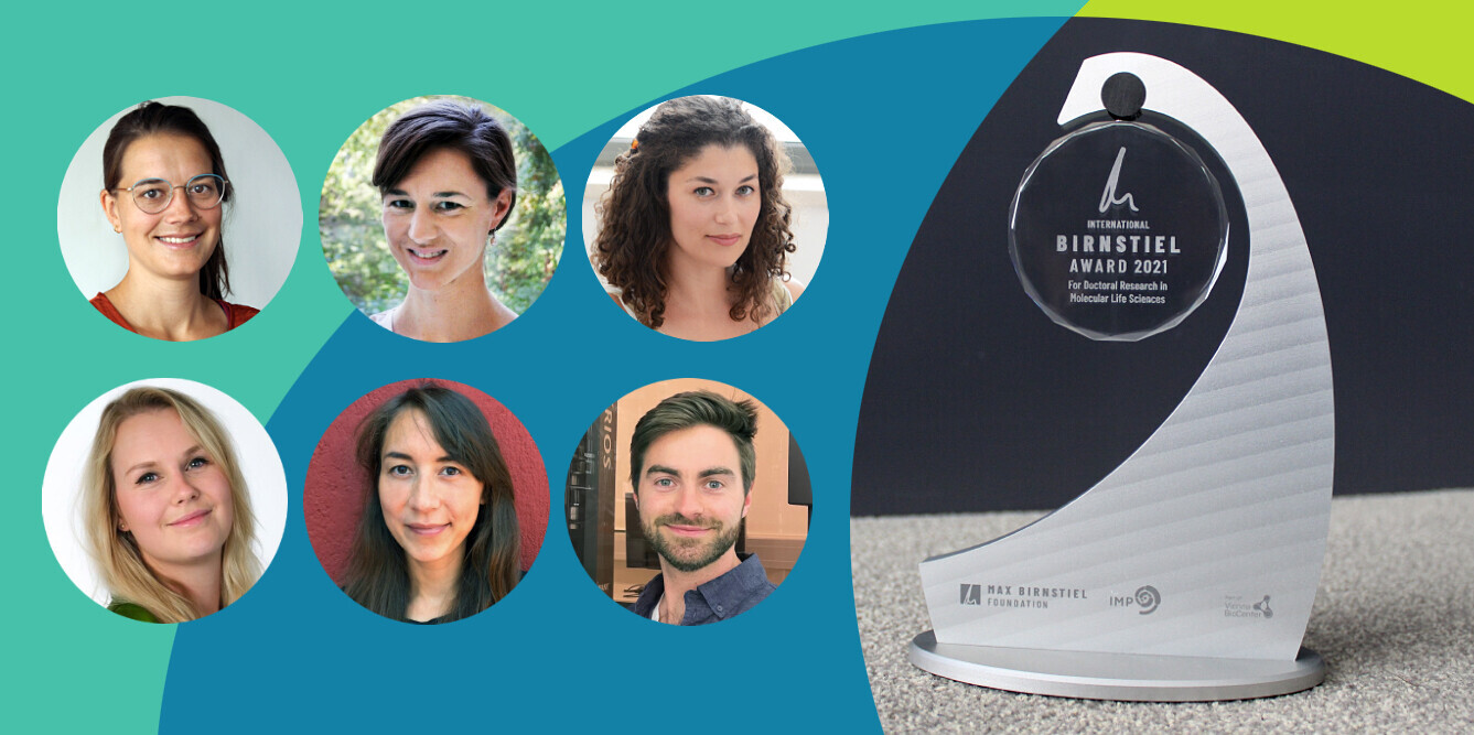 Birnstiel Award laureates 2021