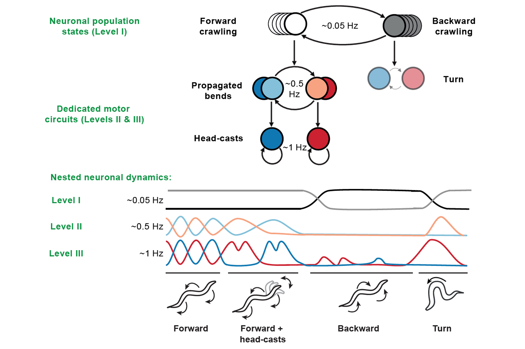Graphical abstract