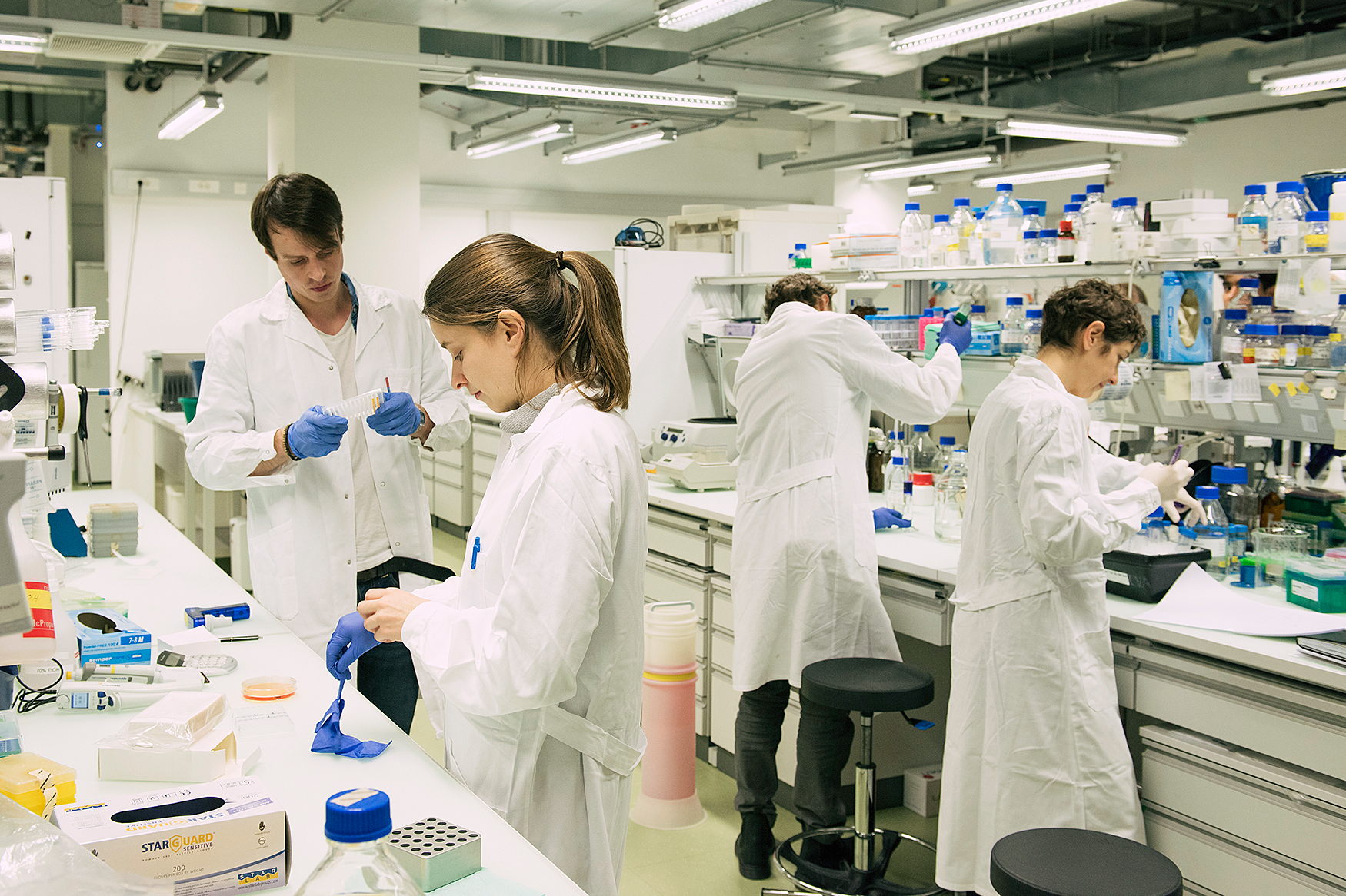 Master and Research Internships in Molecular Biology