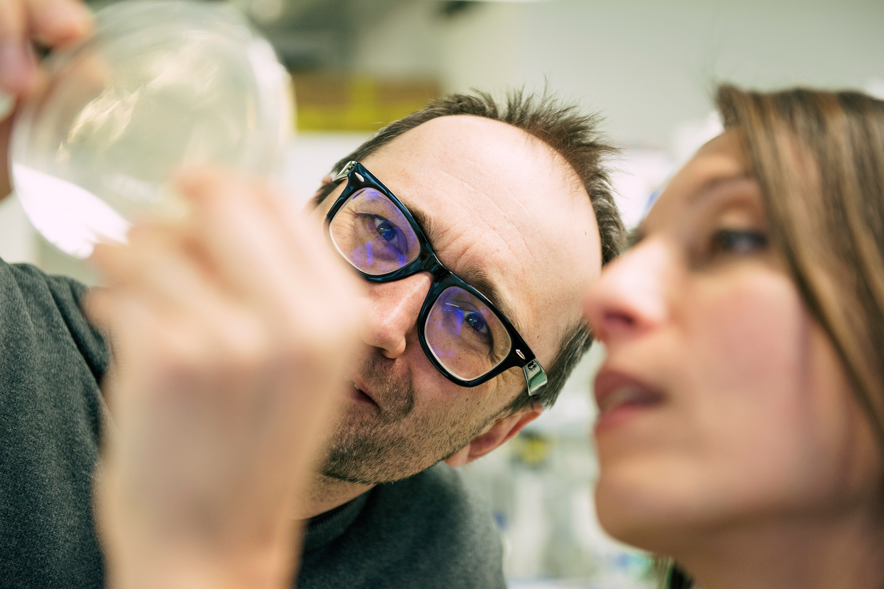 IMP Postdoc