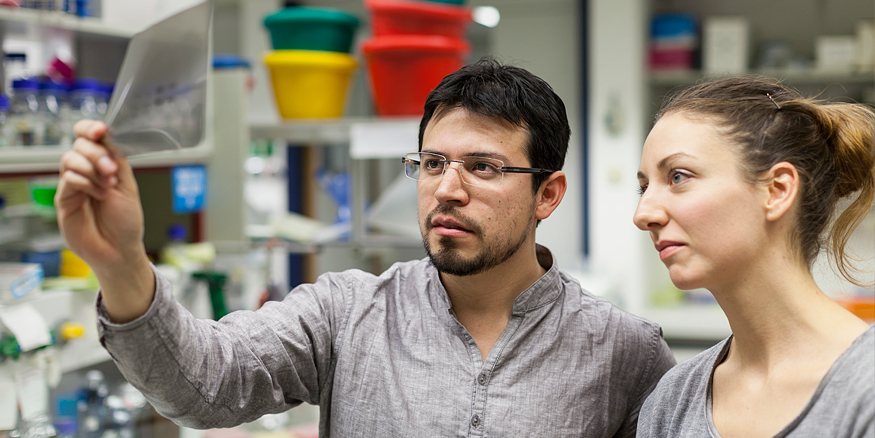 PhD Students of the VBC PhD Programme at work
