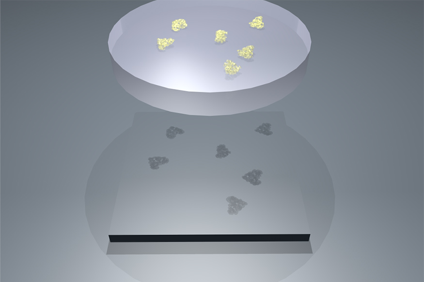 Cryo-EM samples